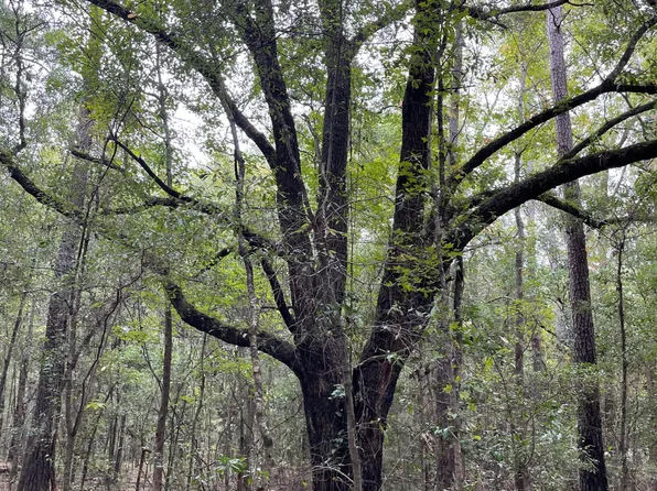 0 Old Oakhill Rd, Jamestown, SC 29453