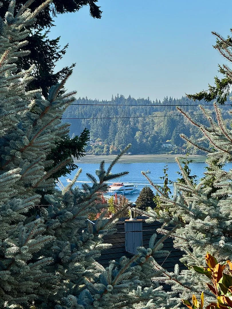 Kingston View Condo...2 bedrooms now available — Photo 2