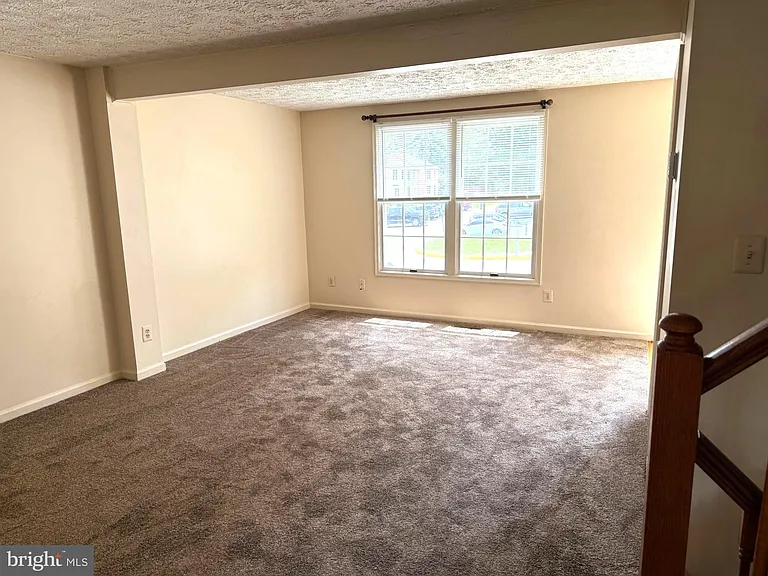 12866 Bison Ct — Photo 5
