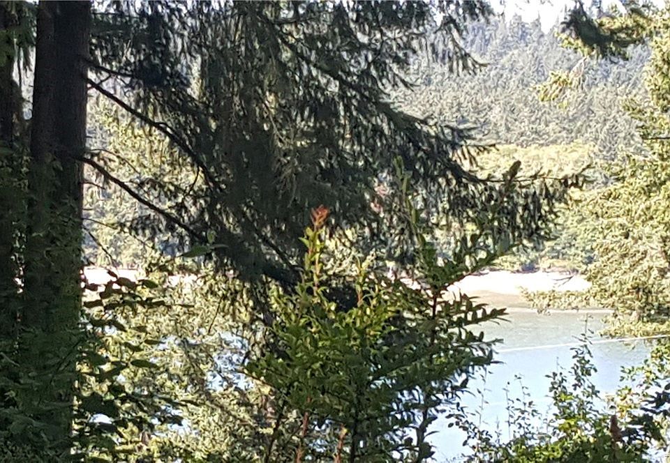 12314 Cole Point Dr Anderson Island WA Zillow