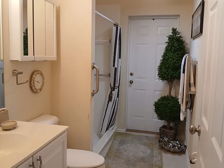 3rd bathroom safety walk-in shower with multiple safety bars and shower heads