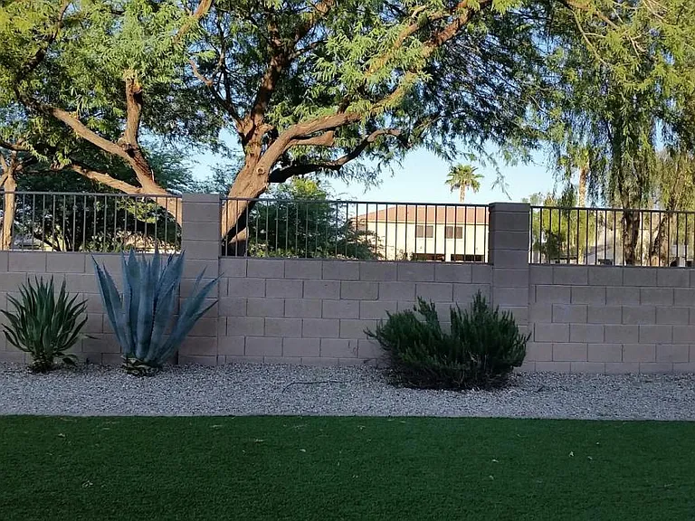 BACKYARD 2