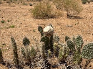 9478 N Branded Rd, Kingman, AZ 86401