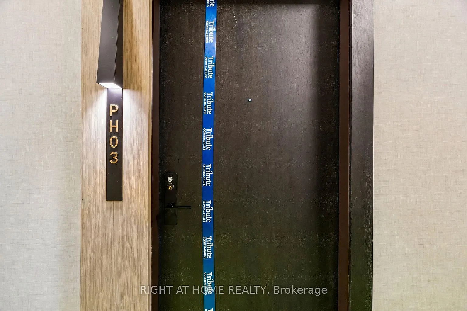 3 bed, $6,500 — Photo 4