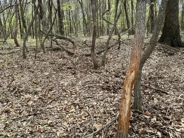 Drew Ruleville Rd, Ruleville, MS 38771