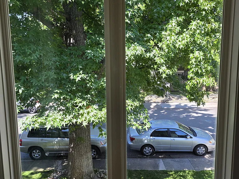 View looking out the front floor to ceiling window.
