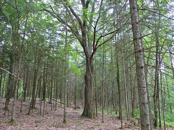 3rd image of W4675 County Road D
