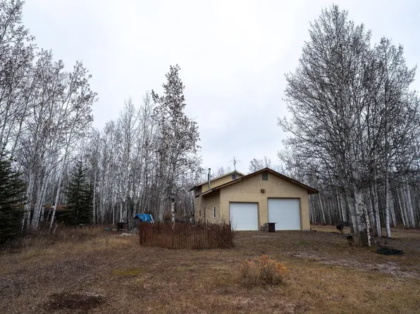 5396 Nome Trl, Delta Junction, AK 99737