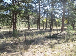 166 Haystack Rd, Hartsel, CO 80449