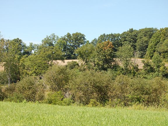 Upper Field, woods to right