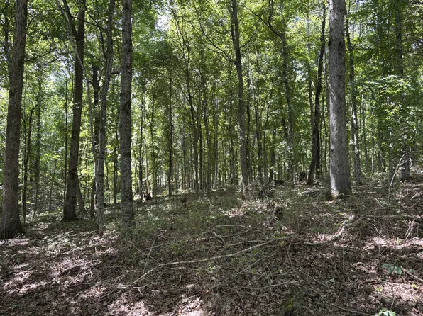 0 Middle Lick Creek Rd Lot 30, Lyles, TN 37098