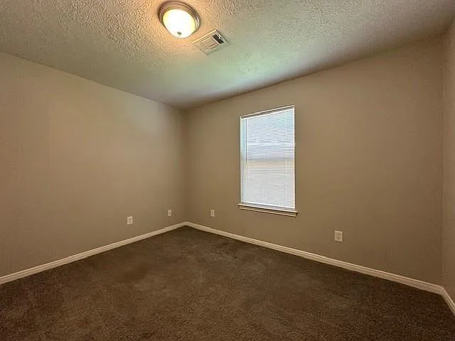 16313 Many Trees Ln — Photo 11