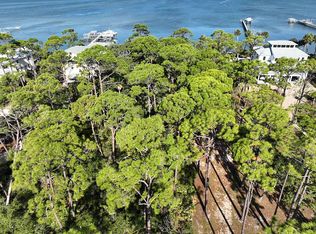 2223 Conch Dr, Saint George Island, FL 32328