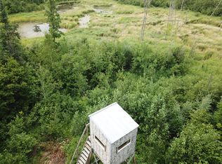 39960 Two Rivers Rd NE, Kelliher, MN 56650