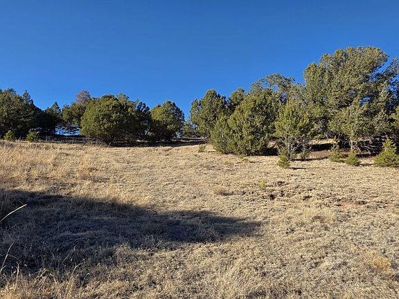 3rd image of 303 Piute Dr