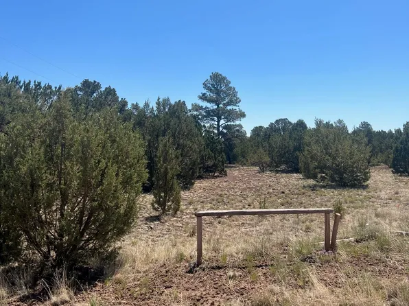 County Road 3261, Vernon, AZ 85940