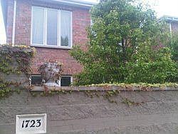 1st image of 1723 W Peterson Ave
