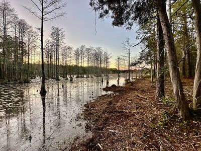 39 Bass Haven Dr, Defuniak Springs, FL, 32433