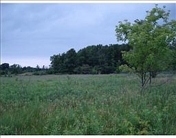 2nd image of 8150 Jackson Rd