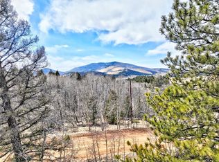 60 Antelope Ln, Lake George, CO 80827