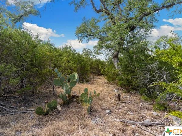1472 Stahlman Way, New Braunfels, TX 78132