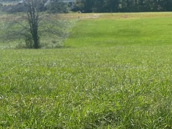Lot 205 Canterbury Drive, North Wilkesboro, NC 28659