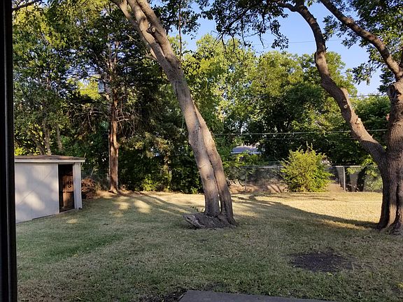 backyard, view from patio