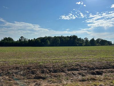 6-7.2 Willie Varnum Rd, Cottonwood, AL, 36320
