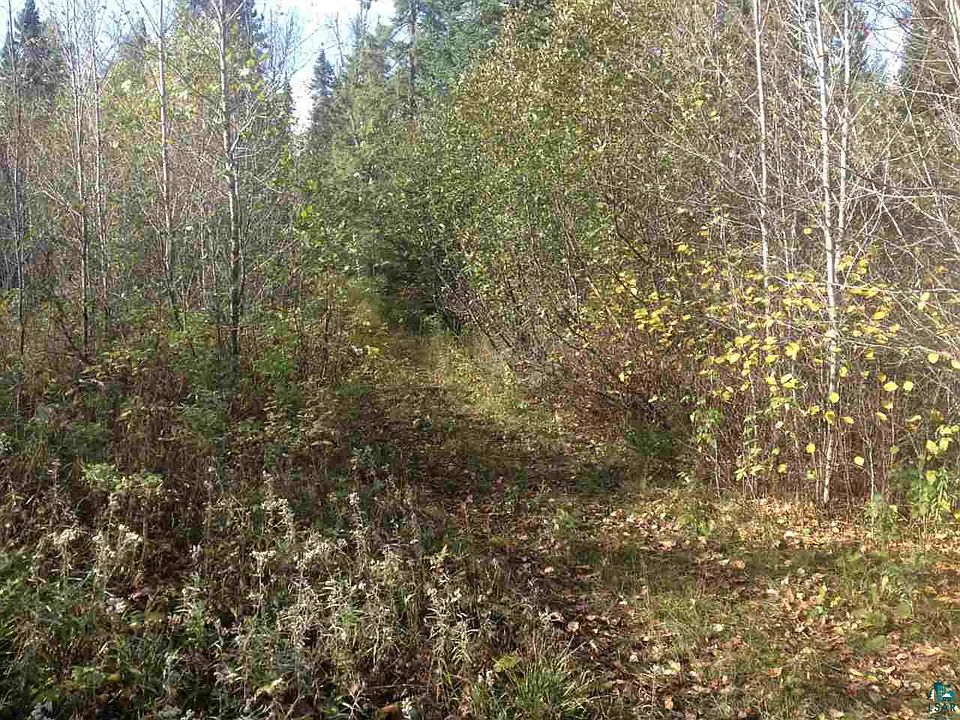 2nd image of xxx Forest Rd 493