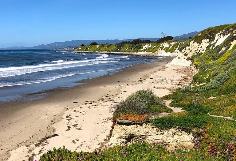 337 Pebble Beach Dr — Photo 15