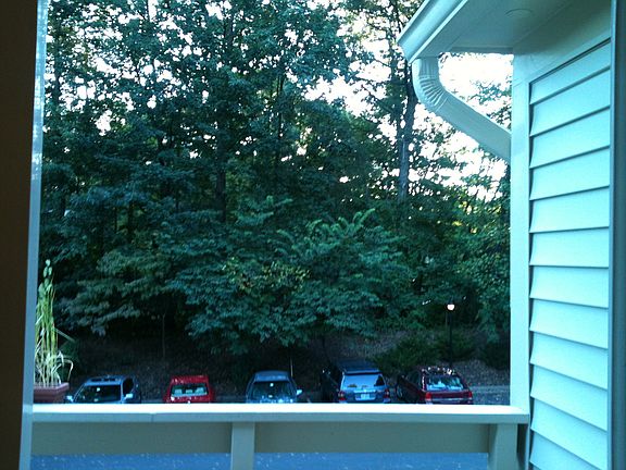 View from living room