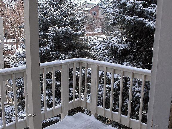 View of the Pines from the balcony