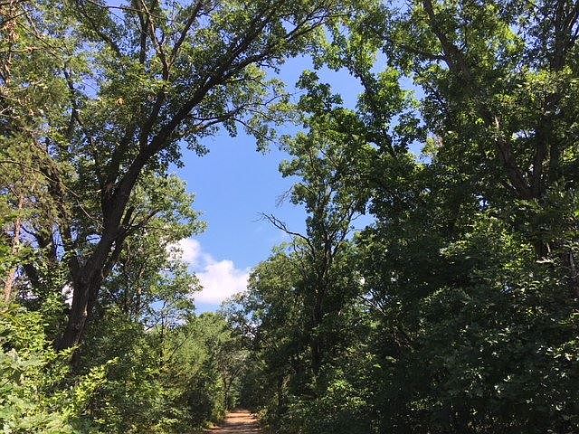 1st image of 7.74 Ac Hwy #12/16