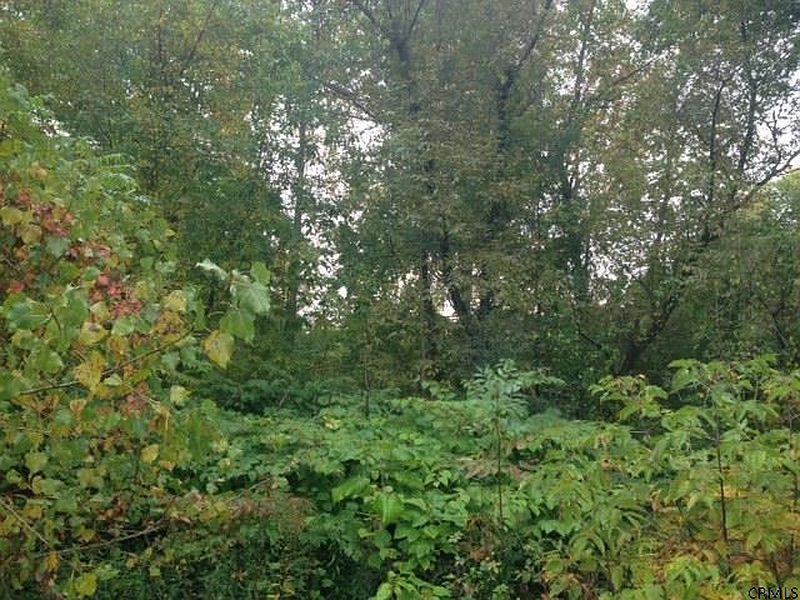 5th image of 0 PACKMAN Avenue