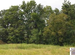 LOT 16 John Purdom Dr LOT 1, Almo, KY 42020