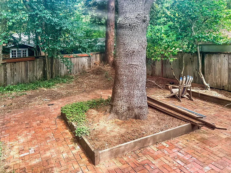 Fenced in back yard (dog safe.)