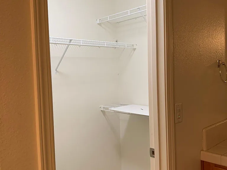 Walk-in closet in master bedroom