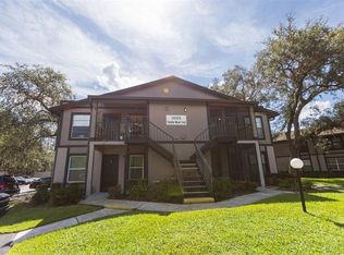 4005 Tumble Wood Trl APT 102, Tampa, FL 33613