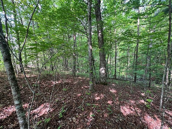 2nd image of 9 Acre Leonard Ln