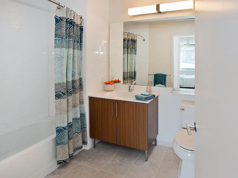 Designer Bathroom with Tub