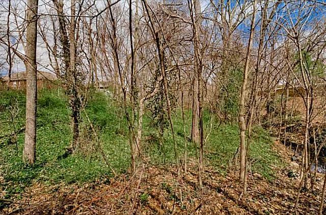 2nd image of 601 Tunbridge Dr