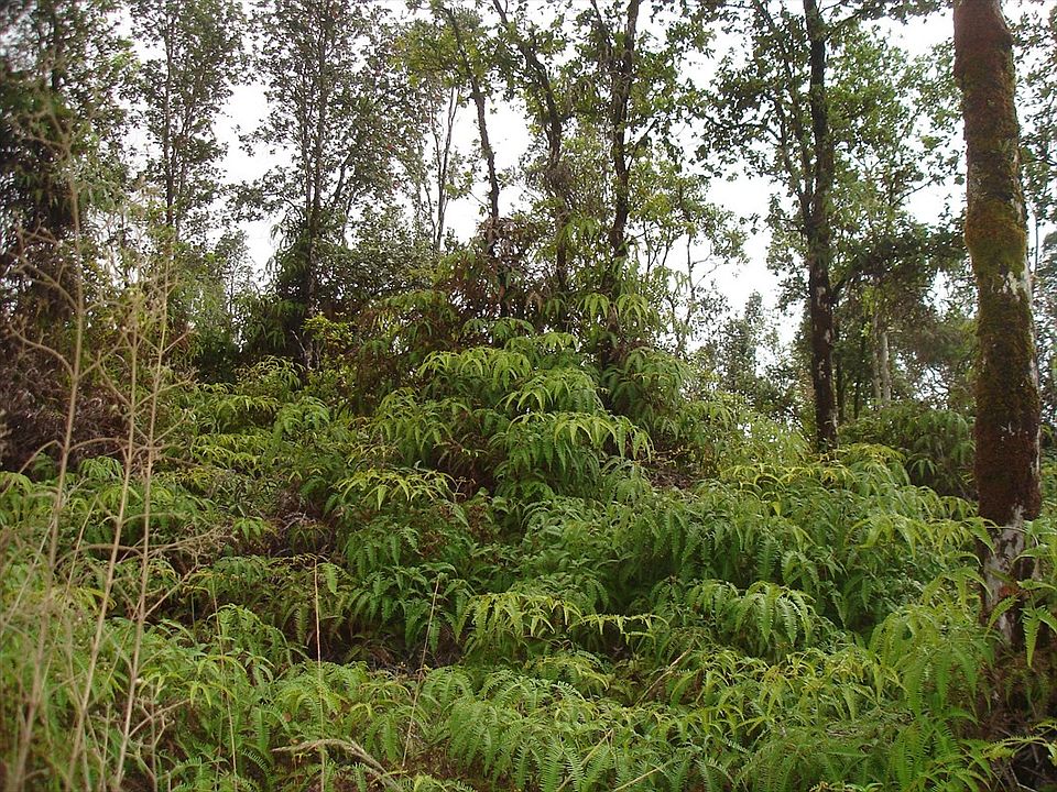2nd image of Opalipali St Lot 6