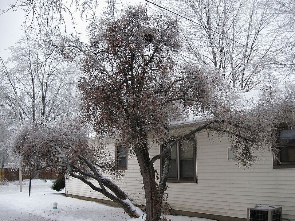back drive way
