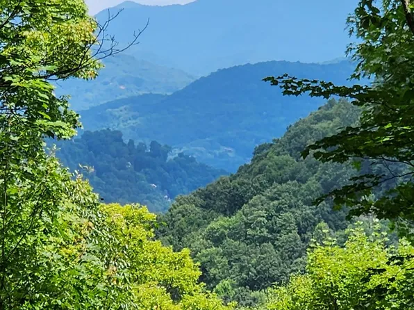 43 Blackbird Lane & Park #44, Maggie Valley, NC 28751