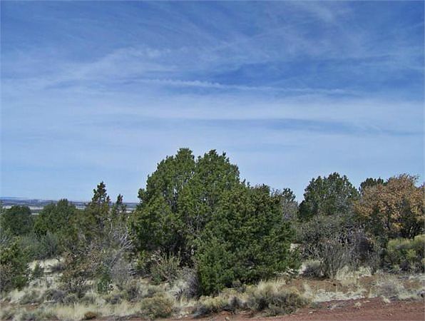 2nd image of 7106 N Wild Horse Dr