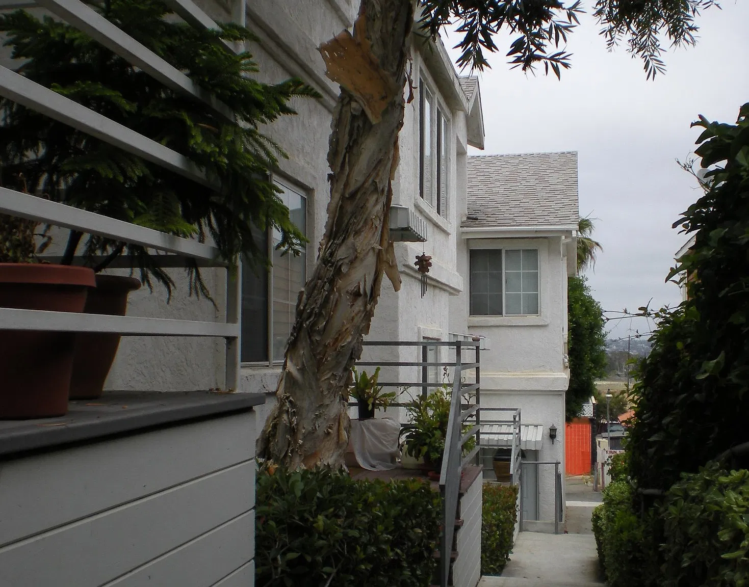 4 bed, 1250 sqft, $1,050 — Photo 4