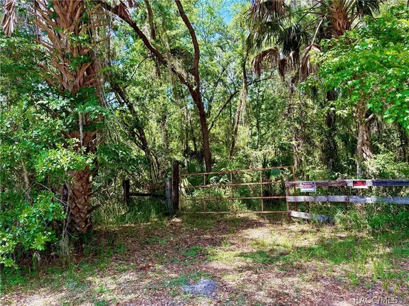 0 Old Crystal River Rd, Brooksville, FL 34601