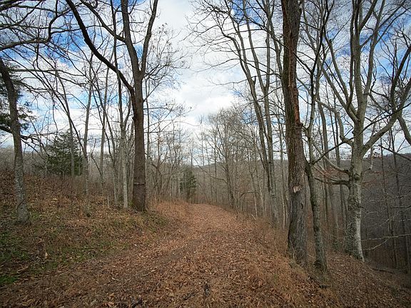 5th image of 199 Spain Rd