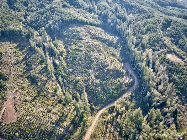 0 Tract 2A South Valley Road, Naselle, WA 98638