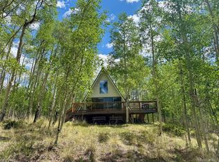 206 Empire Circle, Leadville, CO 80461